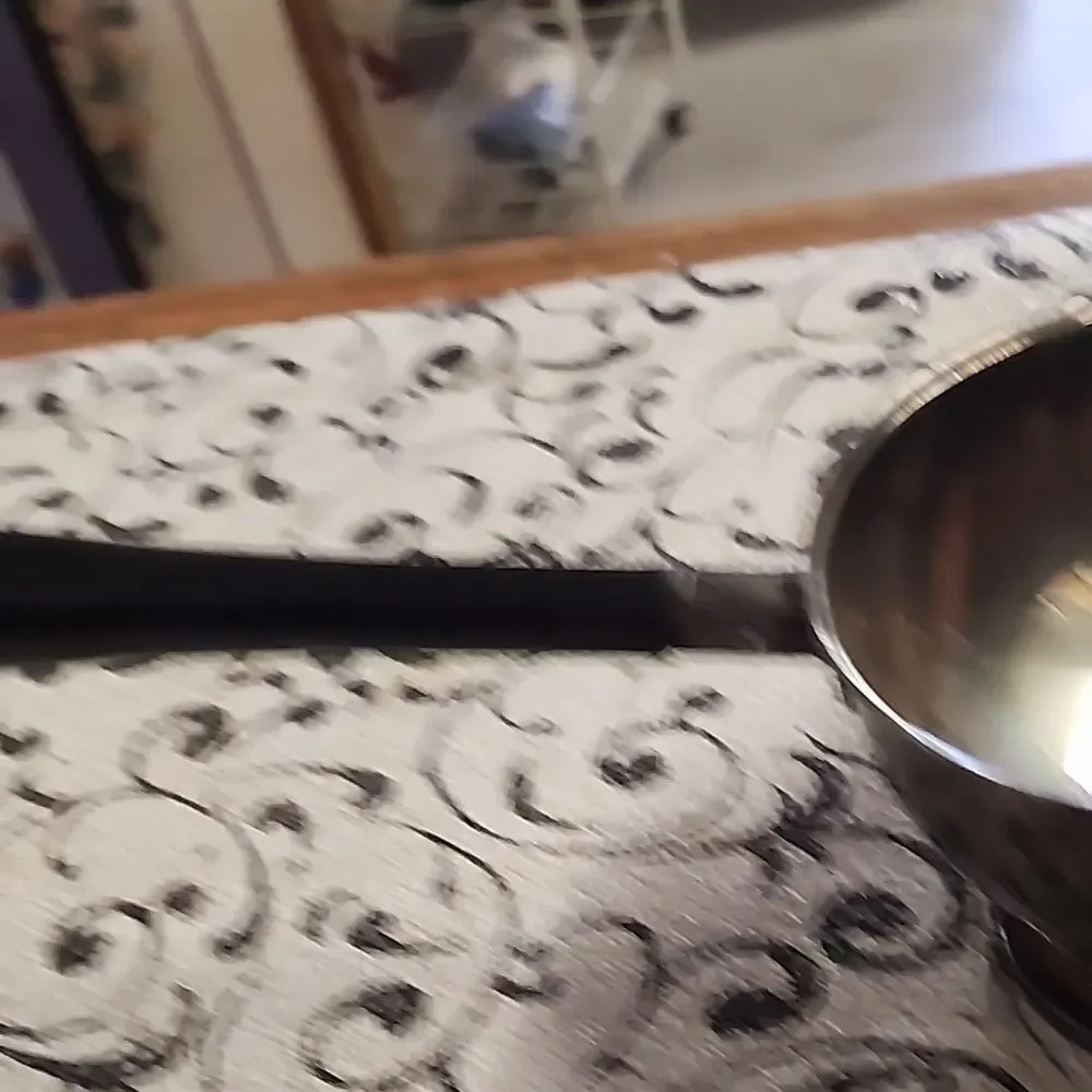 Silver and Black Sauce Ladle